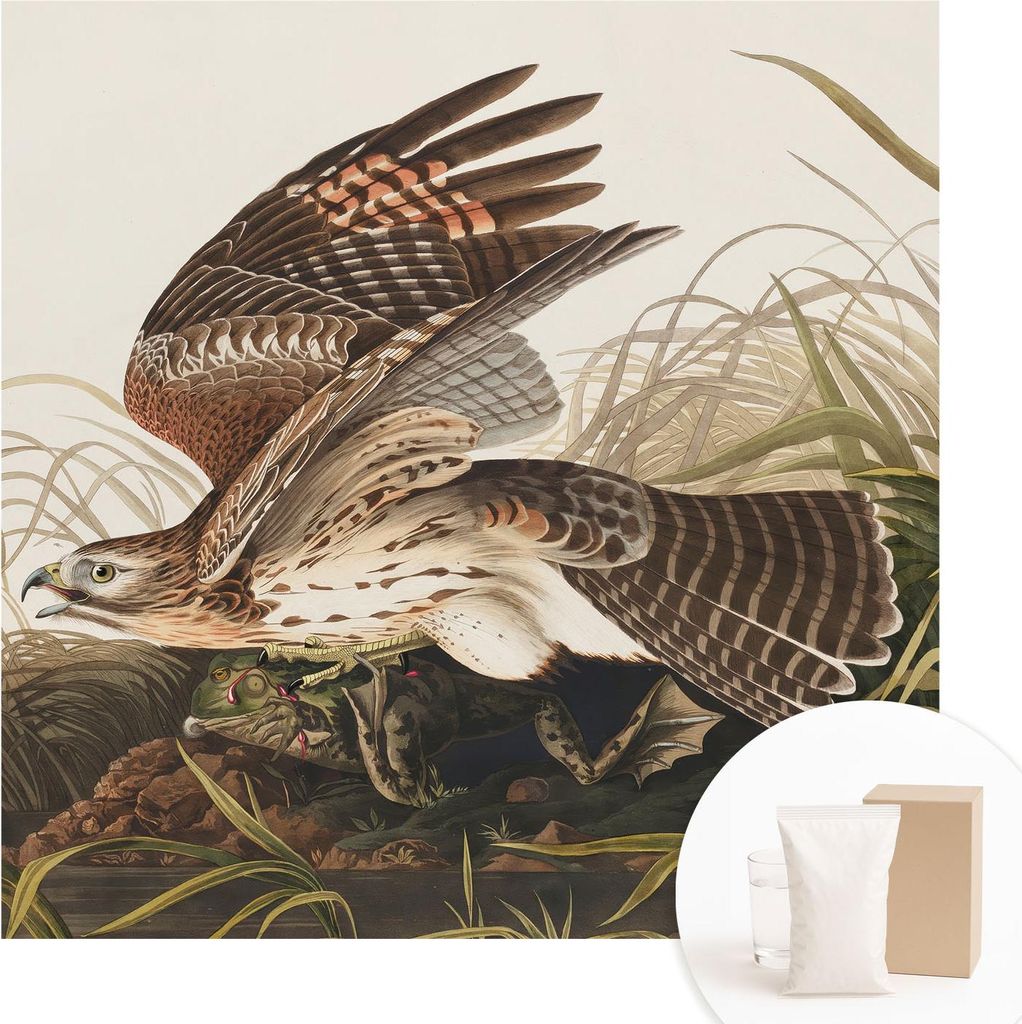 Fototapete - Wandbilder für Wohnzimmer - 250x250 cm - Dekorative Wandfolie - Modernes Design für Wanddekoration - Tapeten für Innenräume - Gefl...