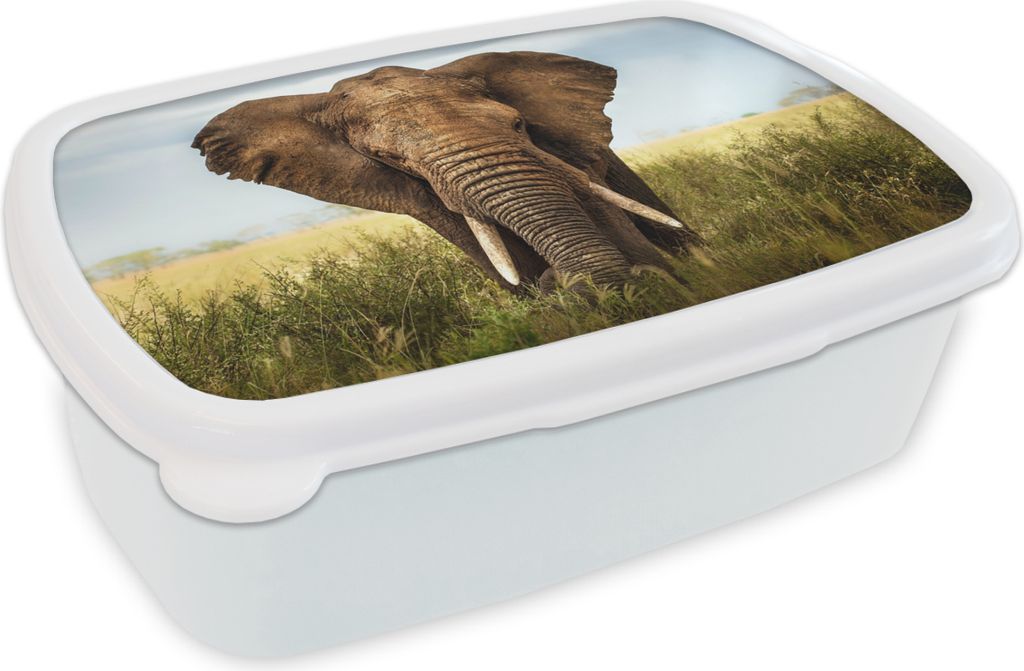 KitchenYeah Lunchbox Brotzeit Brotdose 17x11 cm Elefant - Gras - Tiere - Natur Kinder Brotzeitdose - Lunch Box - Kinder - Sandwich-Box - Schulbox...