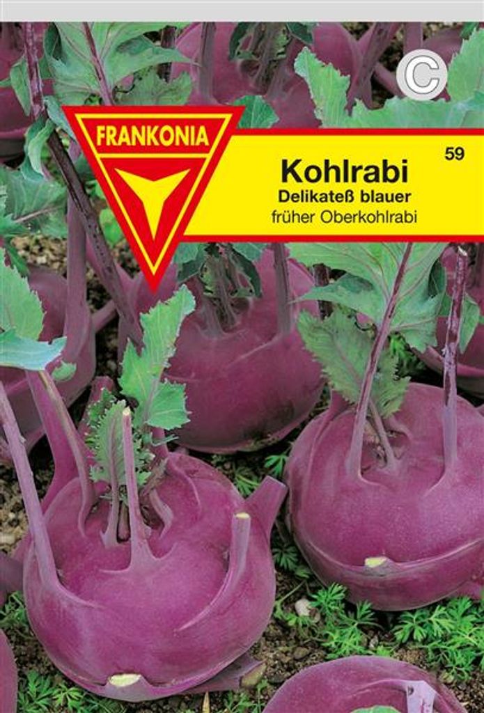 Kohlrabi Delikateß blau