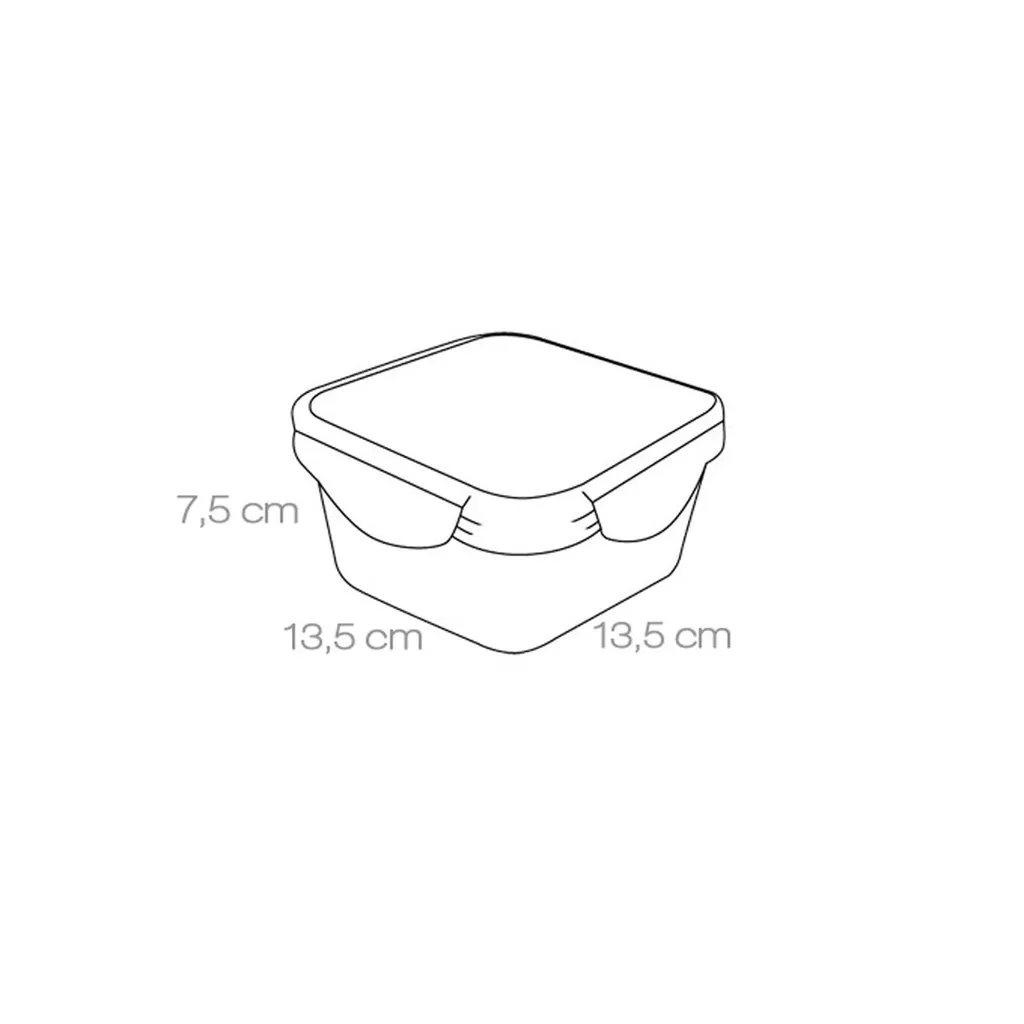 Contenitore Tescoma FRESHBOX 0,7 l Quadrato: Ideale per Lunch Box e Meal Prep - 2
