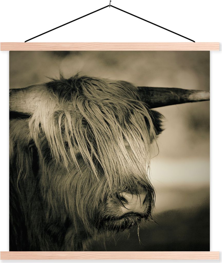MuchoWow Textilposter Schottisches Hochlandrind - Tiere - Haare 40x40 cm mit holzfarbenen Rahmen - Posterleiste