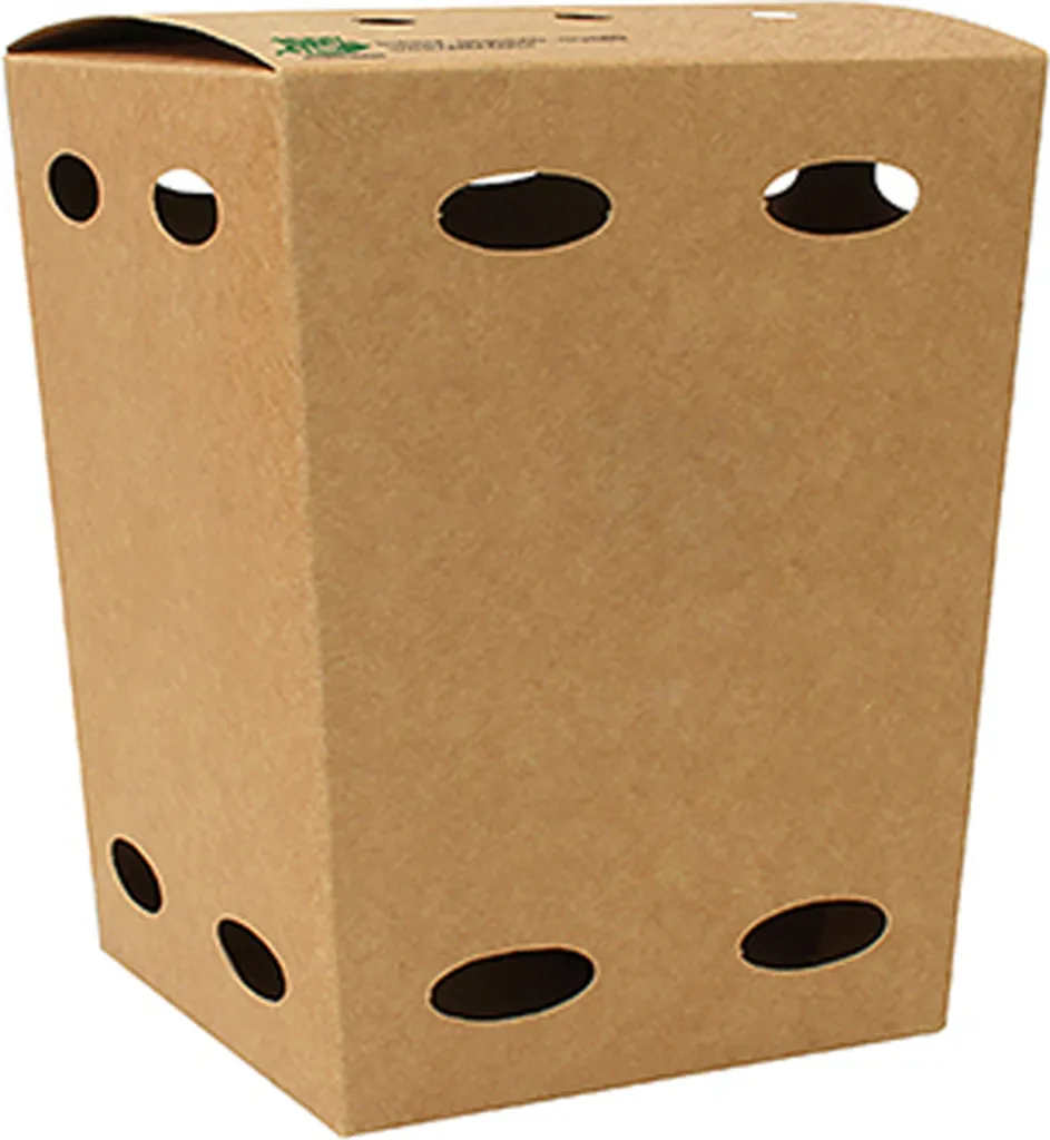 PAPSTAR 87263 Boîte à frites pure 140x145x145 mm en carton biodégradable
