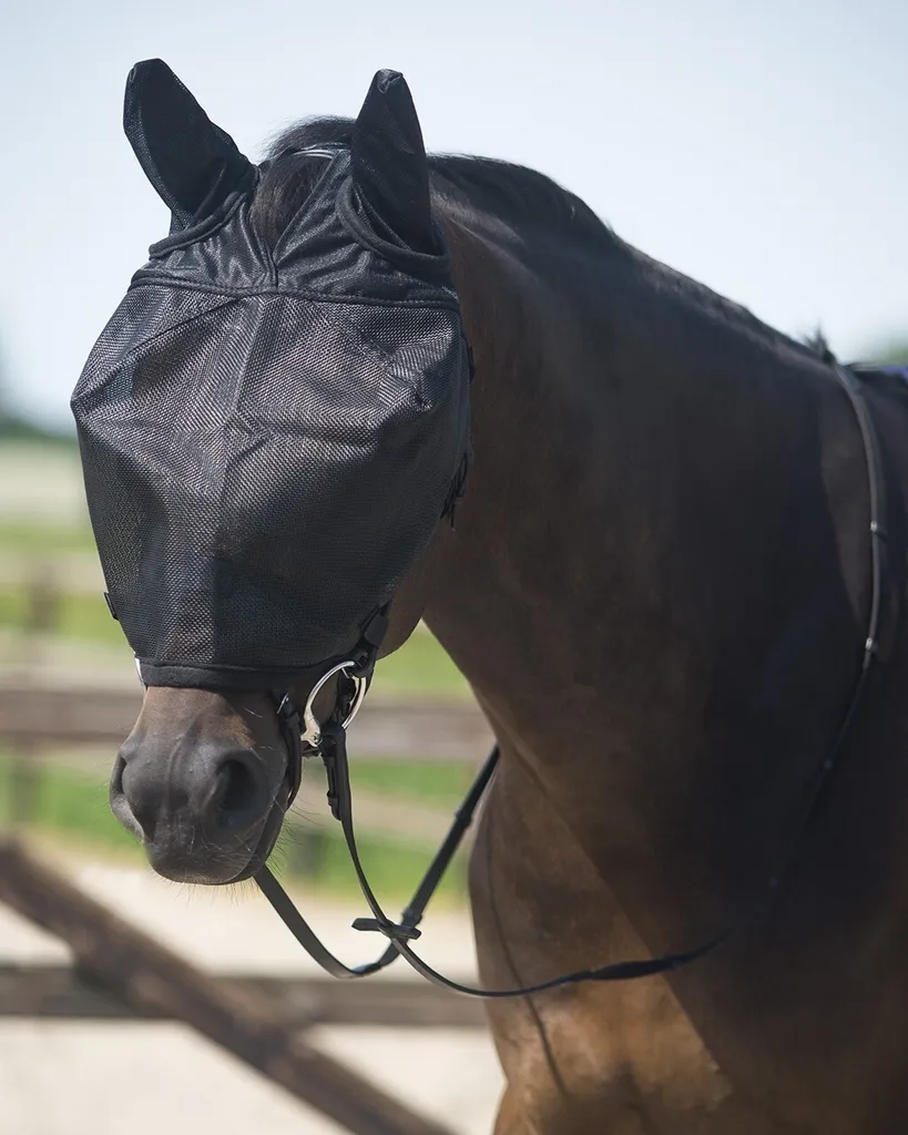 Maschera Cavallo QHP Nero Taglia Pony con Orecchie - Qualità Garantita