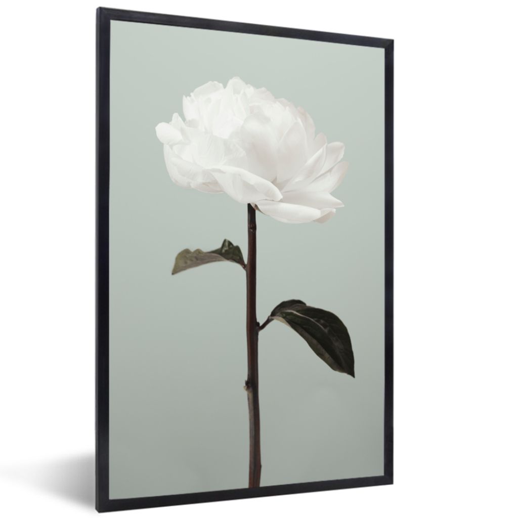 MuchoWow Gerahmtes Poster Blumen - Rose - Grün - Weiß - Stilleben 60x90 cm - Poster mit Schwarzem Bilderrahmen Wandposter Rahmen Foto Bilder - ...