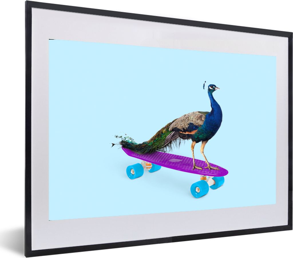 MuchoWow Gerahmtes Poster Pfau - Blau - Skateboard - Tiere - Lustig 60x40 cm - Poster mit Schwarzem Bilderrahmen Wandposter Rahmen Foto Bilder - ...
