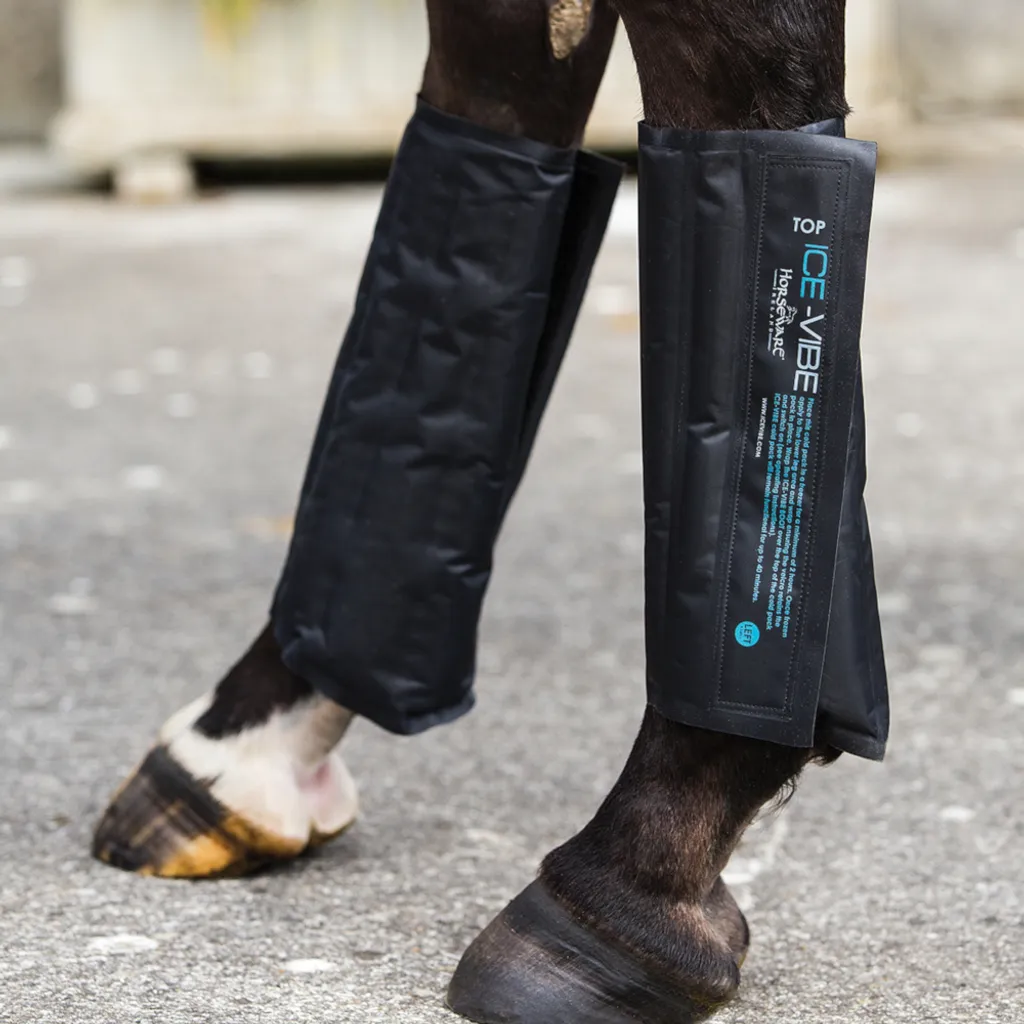 Cold Pack Ice-Vibe : soulagez les tendons et gonflements de votre cheval