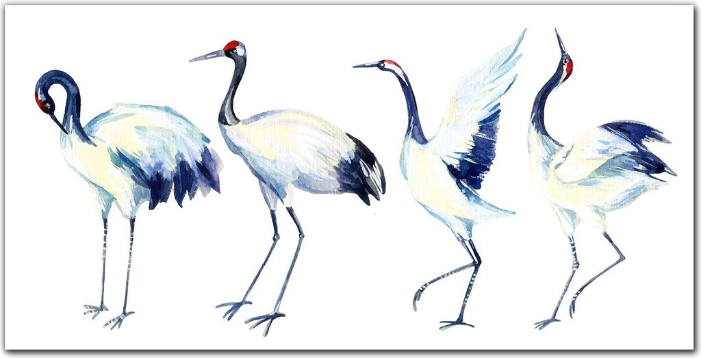 Coloray - Bild aus Glas - Glasbilder - 100 x 50 cm - Gehärtetes Glas Glasblock mit Bild Küche Wohnzimmer Wanddekoration Dekoration - Tiere Vögel