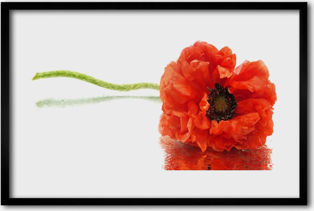 Bild 60x40 MDF-Rahmen Wandkunst Blumen Natur Natur