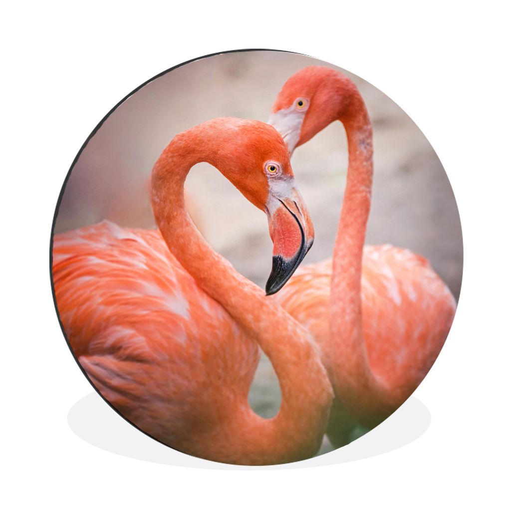 MuchoWow Aluminium Wandkreis Zwei rote Flamingos bilden zusammen ein Herz Ø 30 cm Wanddeko Modern Wohnzimmer - Wand Bild - Wohnzimmer - Runde Bi...
