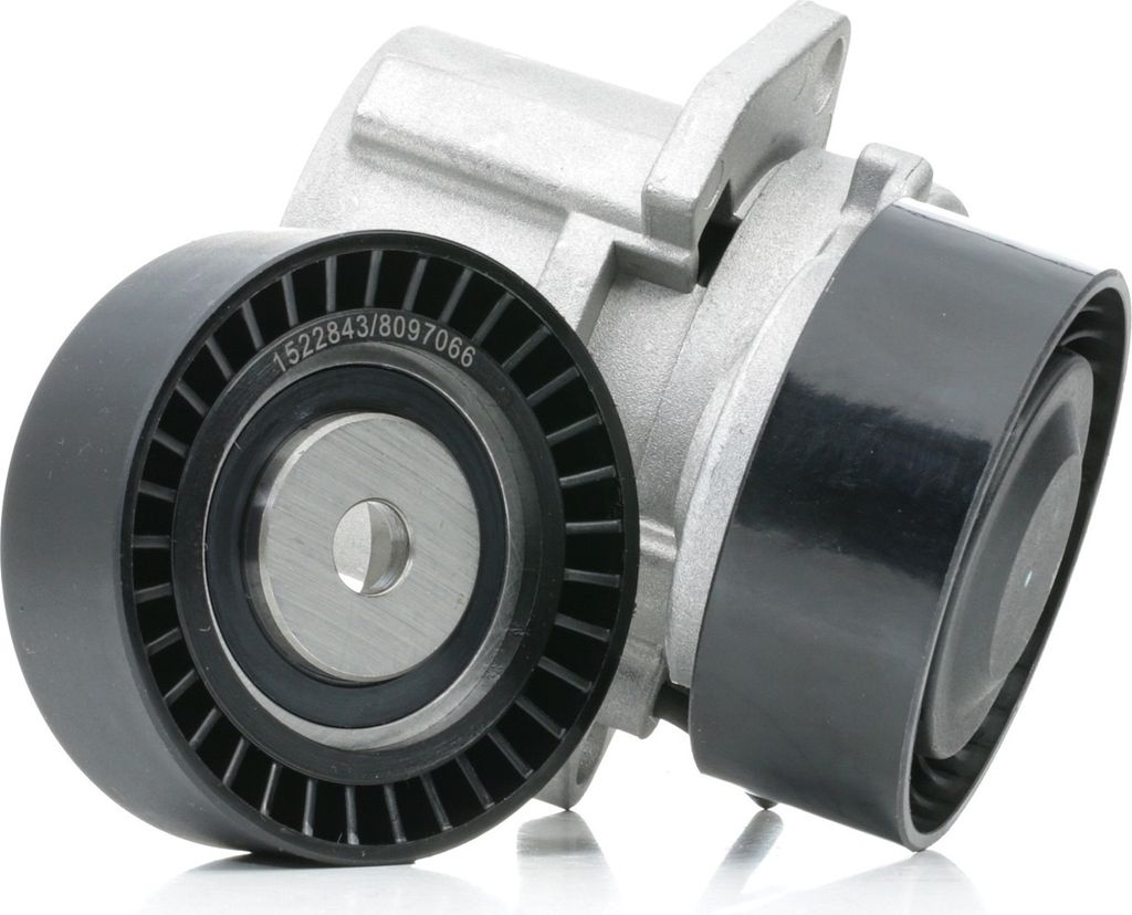 RIDEX 542R0415 Keilrippenriemensatz für BMW 3 Limousine (E46)