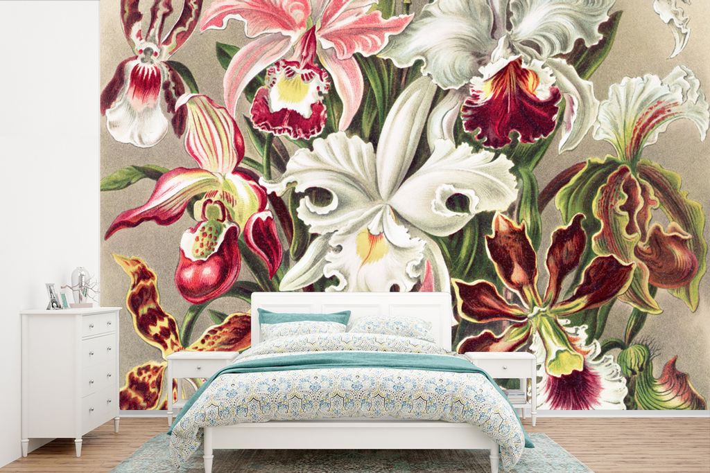 MuchoWow Fototapete für Wohnzimmer oder Schlafzimmer Wandtapete Vinyl Motivtapete Blumen - Ernst Haeckel - Jahrgang - Orchidee - 600x400 cm - Vi...