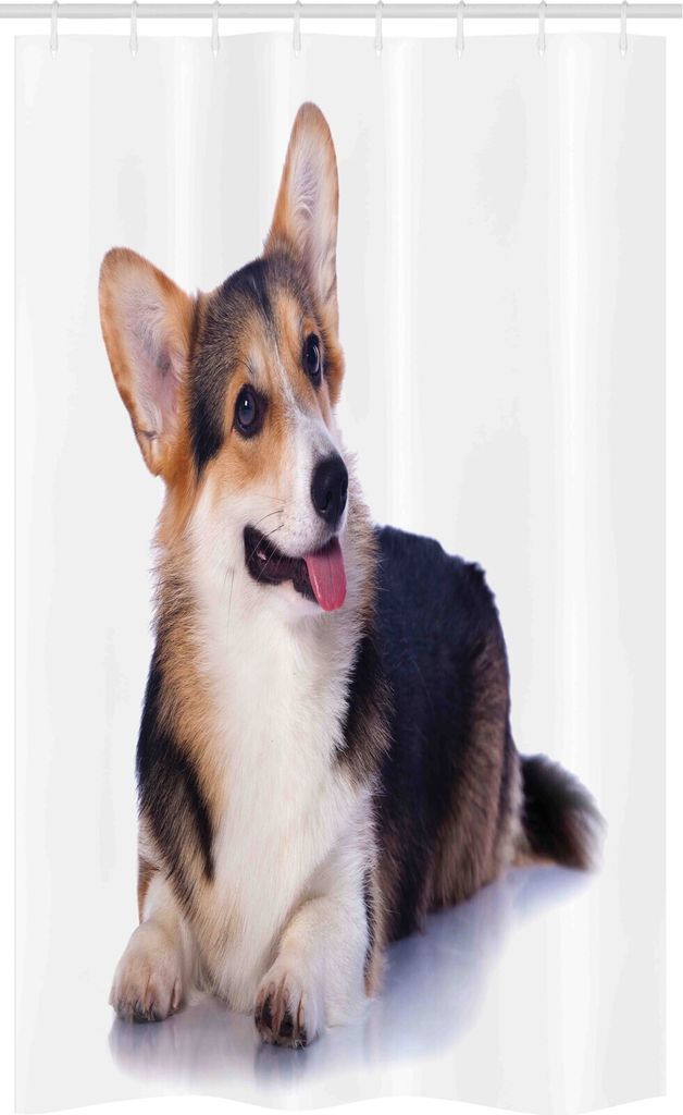 ABAKUHAUS Corgi Schmaler Duschvorhang, Pembroke Welsh Hundeliebhaber-Kunst, Badezimmer Deko Set aus Stoff mit Haken, 120 x 180 cm, Pale Eggshell Du...