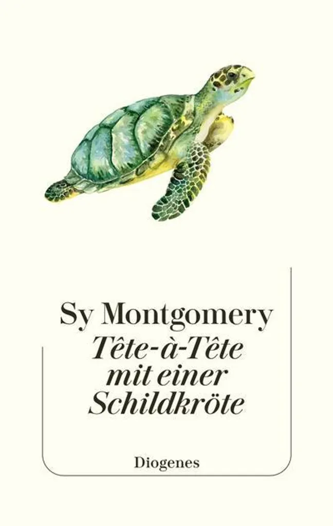 Tête-à-tête avec une tortue : Décoration murale artistique en métal bleu