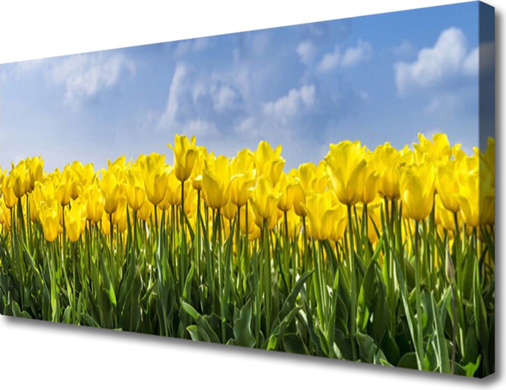 Tulup Leinwand-Bilder 100x50 Wandbild Canvas Kunstdruck Tulpen Pflanzen