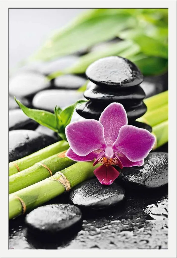 Poster Nature Morte Orchidée avec Cadre Interchangeable Shinsuke MDF Blanc