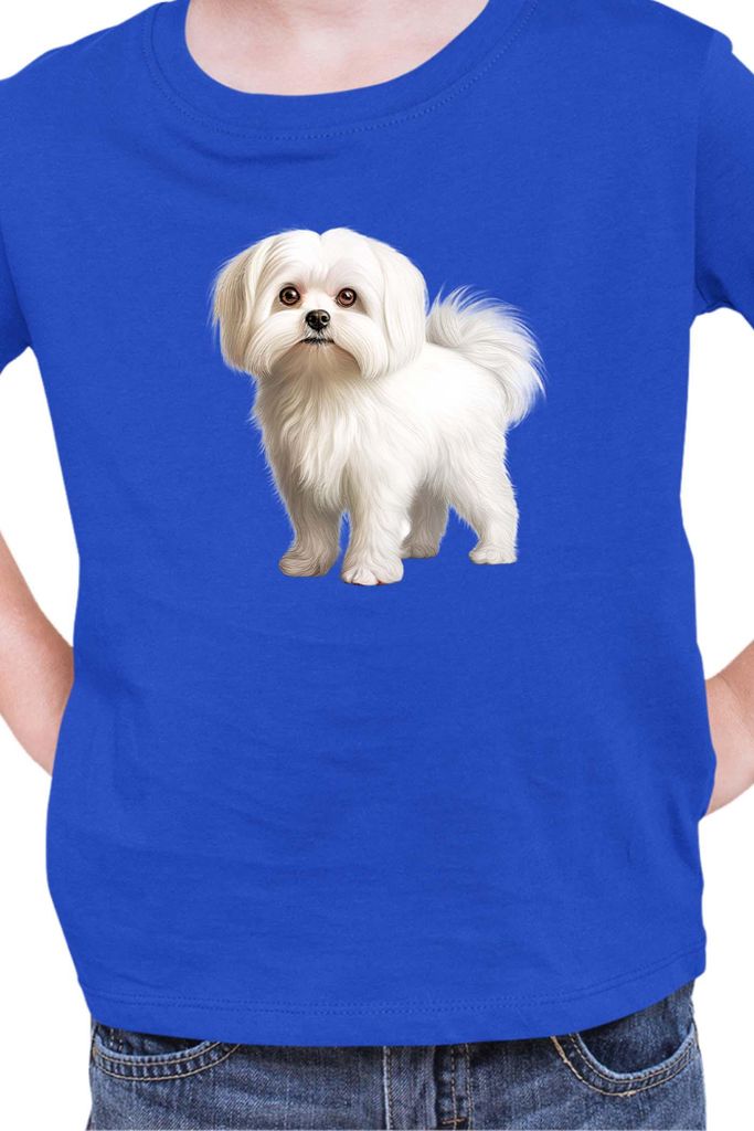 Kinder T-Shirt Dogs Breeds Maltese Dog Breed 005, 9-11 Jahr - 140 / Blau