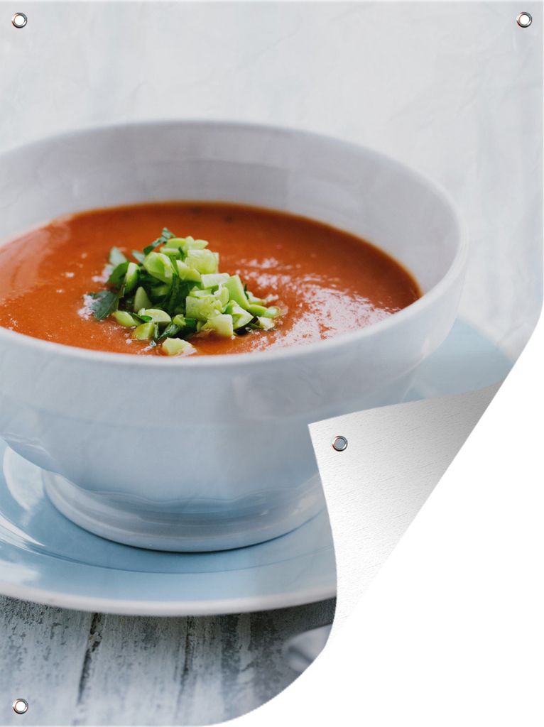 MuchoWow 30x40 cm Outdoor-Poster Gartendeko Sichtschutz Garten Poster für den Garten Tomatensuppe mit Lauch