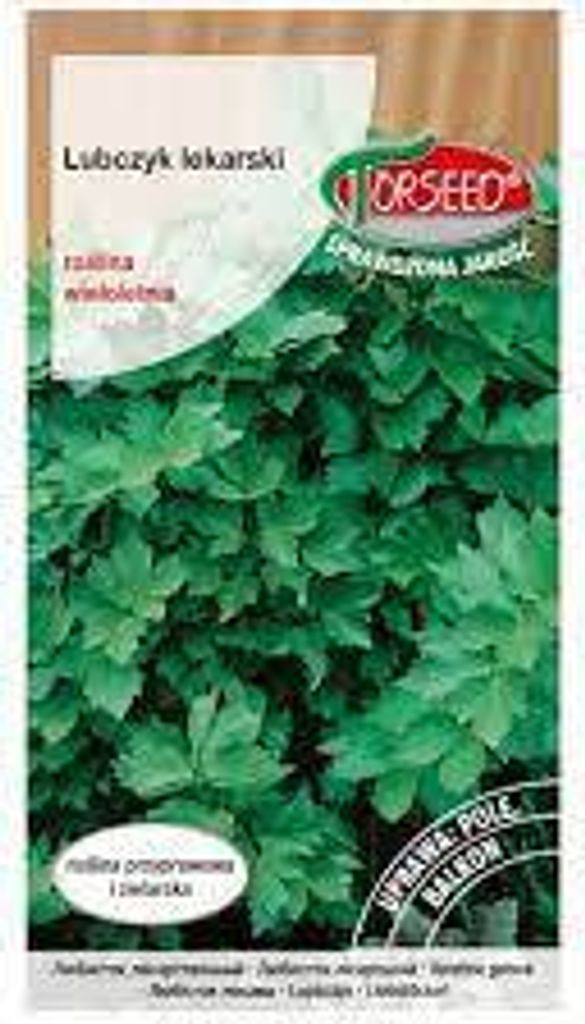 Samen von Liebstöckel, Levisticum officinale 0,2g - Torseed Produktbild 