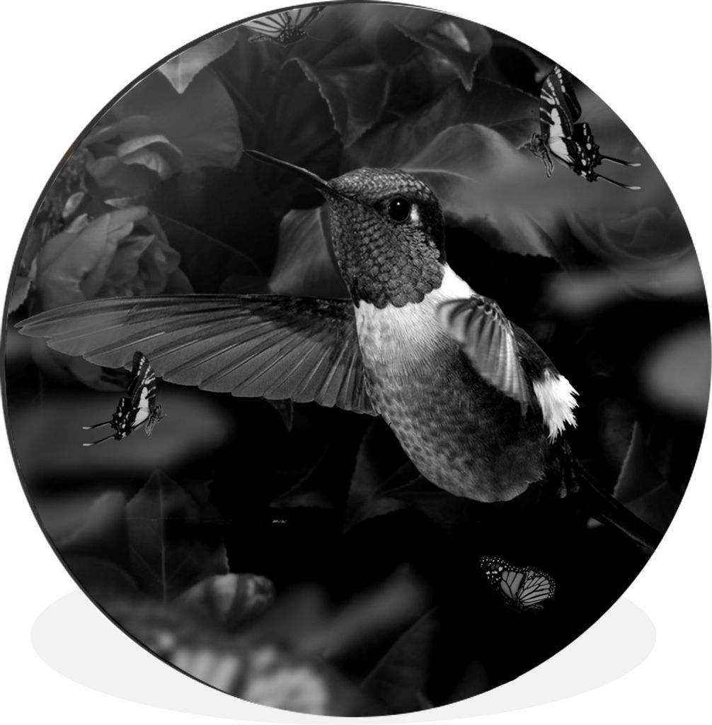 MuchoWow Aluminium Wandkreis Kolibri zwischen lila Blumen und Schmetterlingen - schwarz und weiß Ø 90 cm Wanddeko Modern Wohnzimmer - Mauerkrei...