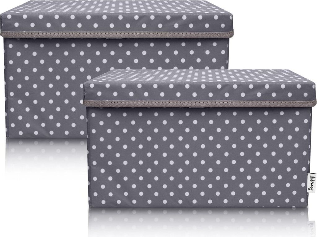 Lifeney 2-Set Aufbewahrungsbox Kinder (37x25x21cm) I Aufbewahrungskorb für Kinderzimmer und Wohnbereich I Kinder Aufbewahrungskiste (Dunkelgrau Pu...