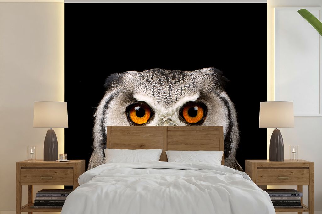 MuchoWow Fototapete für Wohnzimmer oder Schlafzimmer Wandtapete Vinyl Motivtapete Porträt Eule - 350x350 cm - Schlafzimmertapete