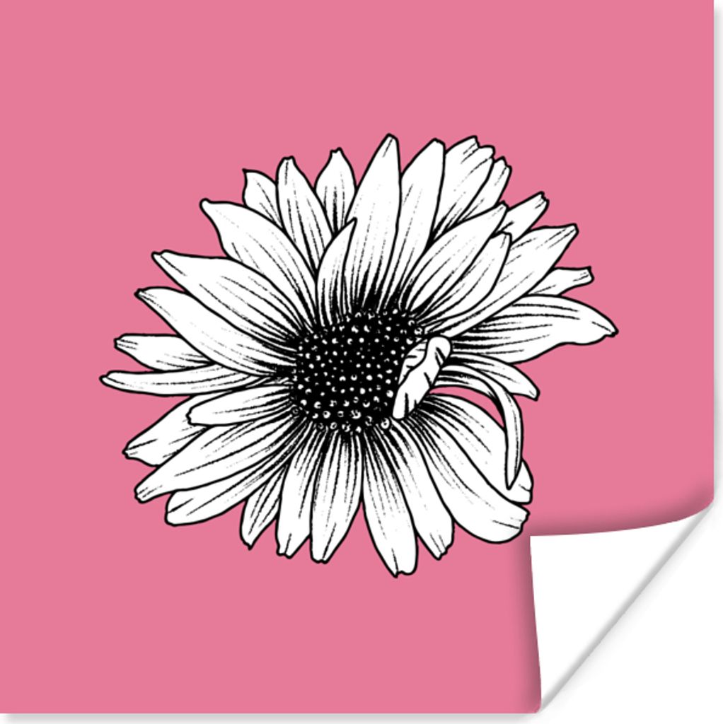 MuchoWow Poster Blumen - Sonnenblume - Vintage - Natur 50x50 cm - Wohnzimmerdekoration