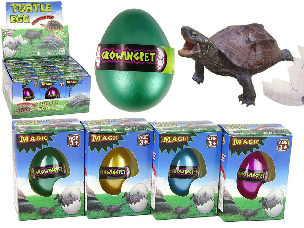 Ausbrütendes magisches Schildkrötenei, das 6 cm wächst. Produktbild 