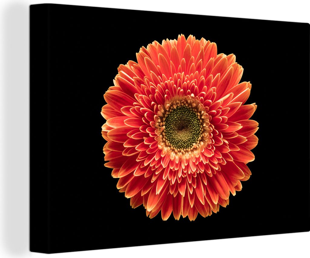 OneMillionCanvasses - Leinwandbilder - 140x90 cm, Eine orangefarbene Gerbera-Blüte vor schwarzem Hintergrund, Wandbilder Kunstdruck Wanddekorati...