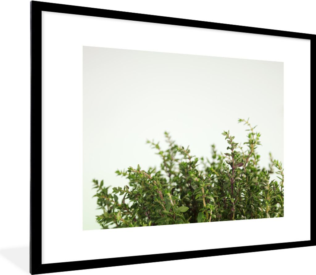 MuchoWow Gerahmtes Poster Nahaufnahme des aromatischen Thymians vor einem schönen grauen Himmel 80x60 cm - Poster mit Schwarzem Bilderrahmen Wan...