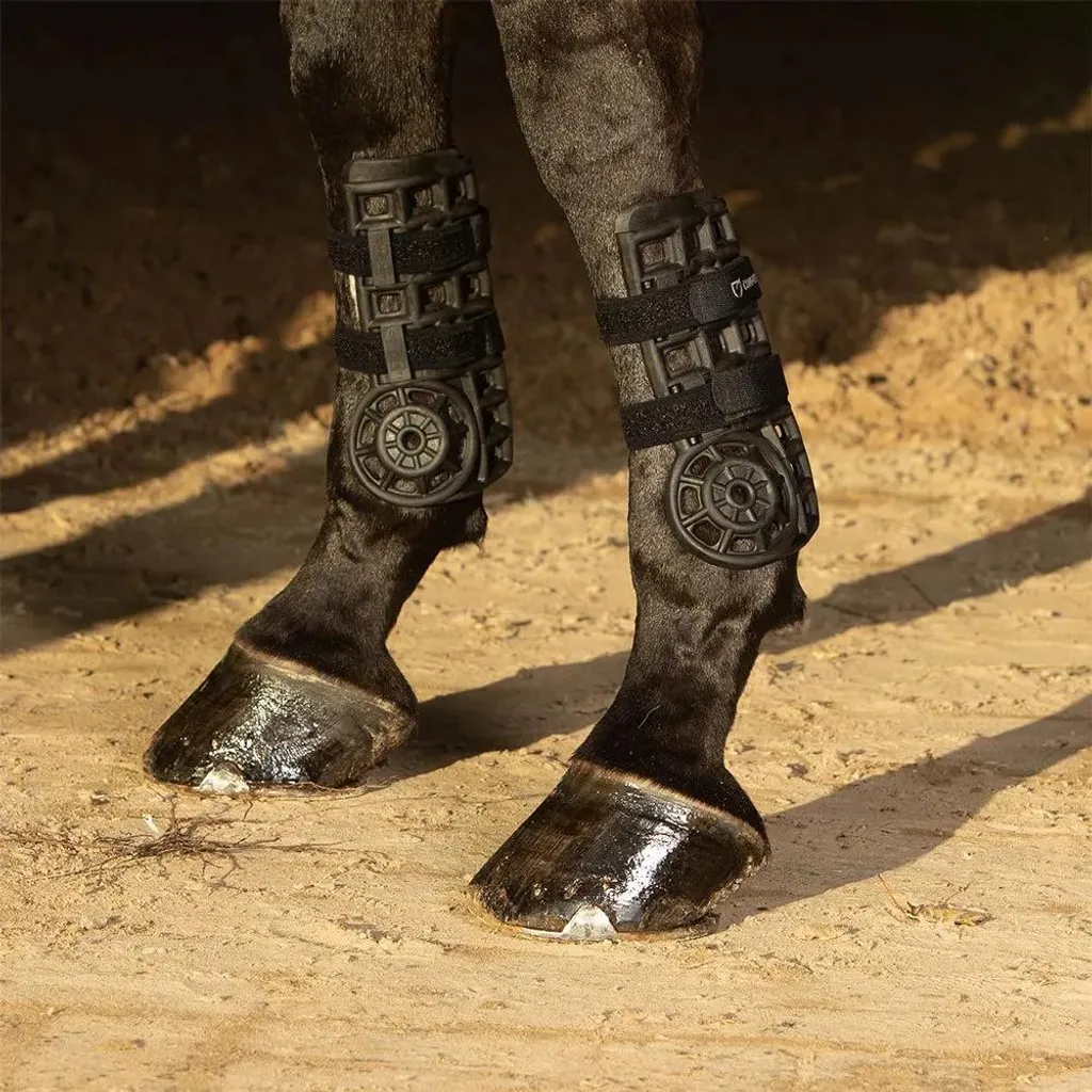 Harry's Horse Protège-tendons Protech Noir Taille Full pour Cheval