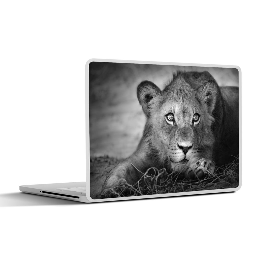 MuchoWow Laptop Aufkleber Sticker Cover Wildtiere - Löwe - Natur - Schwarz - Weiß 40x30 cm - Laptop Dekoration - Selbstklebend