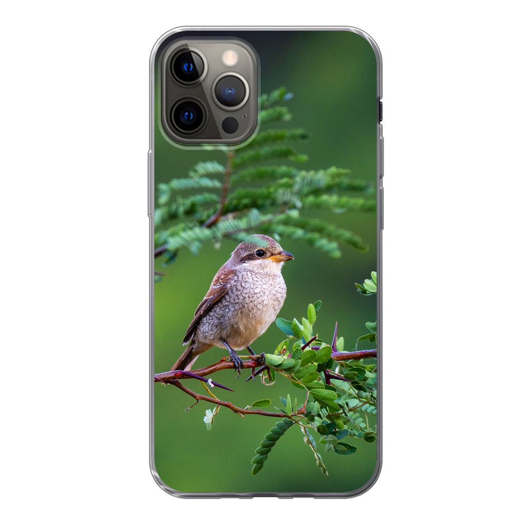 MuchoWow Handyhülle Schutzhülle Hülle für iPhone 12 Pro Vogel - Baum - Wald Silikon Softcase Handy Hülle - Abdeckung
