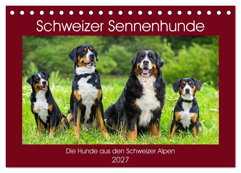 Schweizer Sennenhunde - die Hunde aus den Schweizer Alpen (Tischkalender 2027 DIN A5 quer), CALVENDO Monatskalender