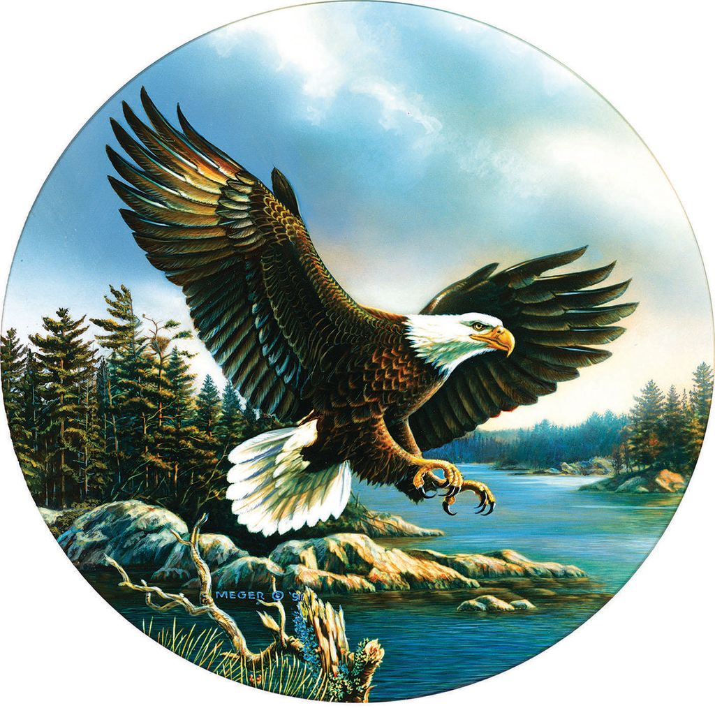 SunsOut Puzzle Adler-Landung - 500 Teile Puzzle