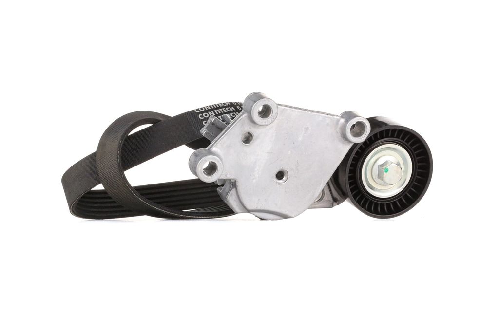 RIDEX 542R0261 Keilrippenriemensatz für FORD Fiesta Mk6 Schrägheck (JA8, JR8)