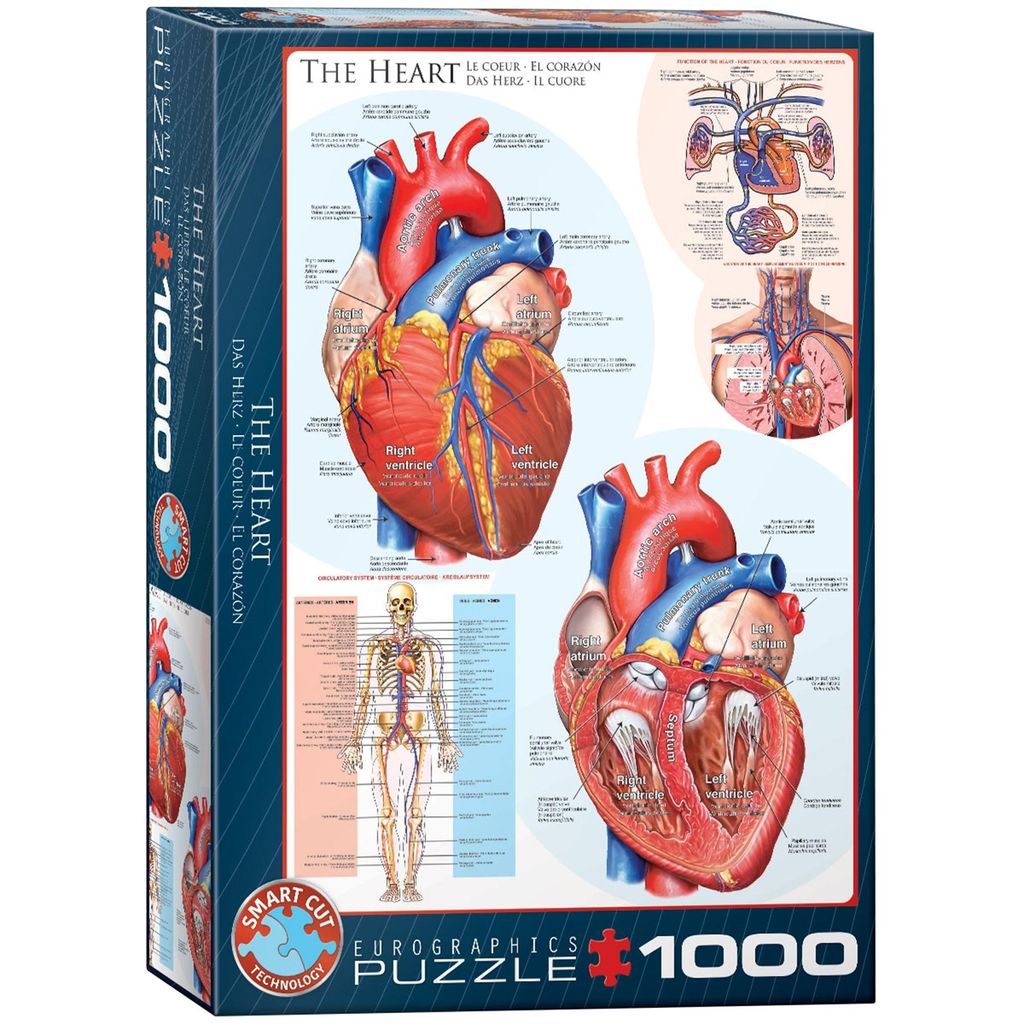 EUROGRAPHICS Puzzle Serce 1000 elementów Zdjęcie produktu 