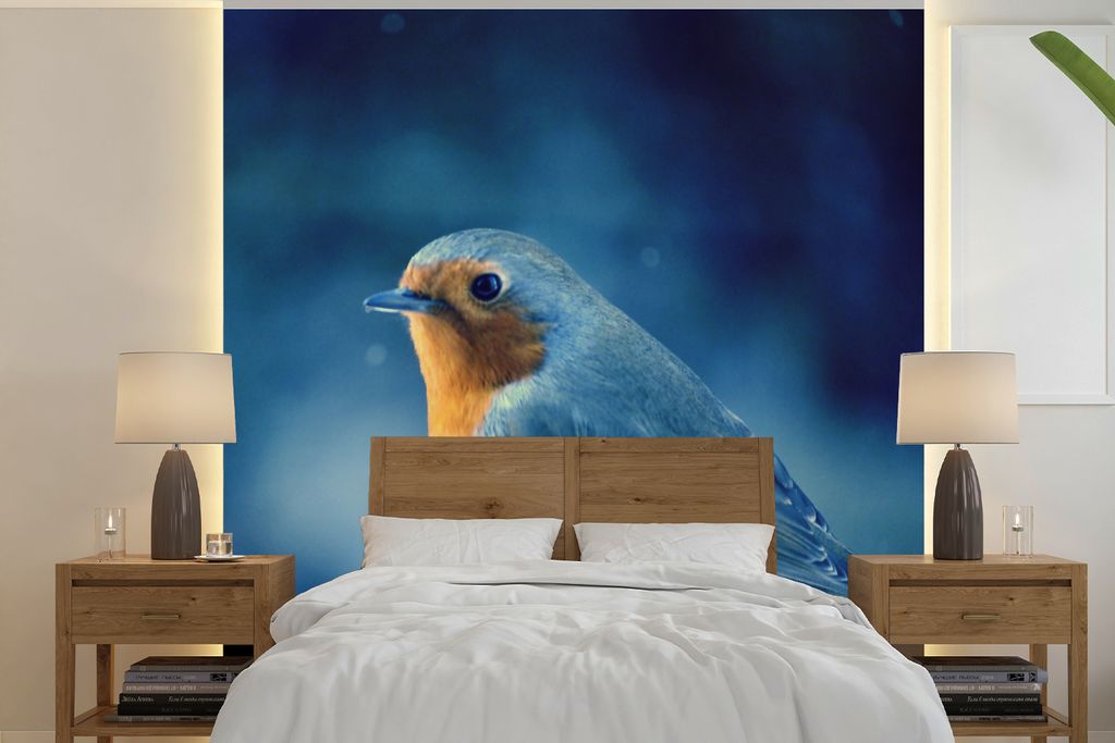 MuchoWow Fototapete für Wohnzimmer oder Schlafzimmer Wandtapete Vinyl Motivtapete Rotkehlchen - Blau - Schnee - 280x280 cm - Hintergrundbild