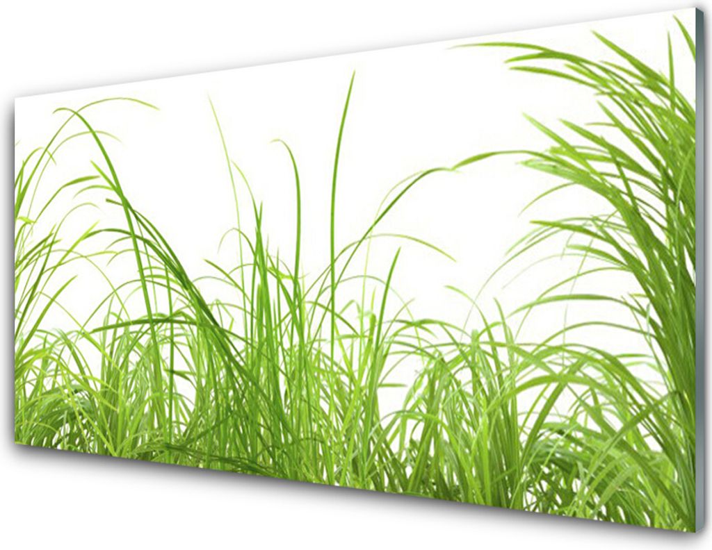 Acrylglasbilder 100x50 Wandbild Druck Gras Natur