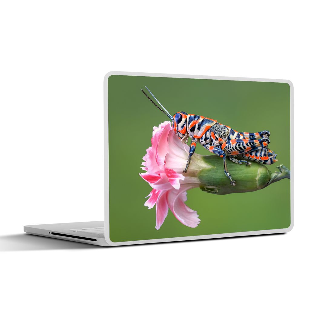MuchoWow Laptop Aufkleber Sticker Cover Grashüpfer - Blume - Rosa 30x21 cm - Sticker für Laptop - Selbstklebend