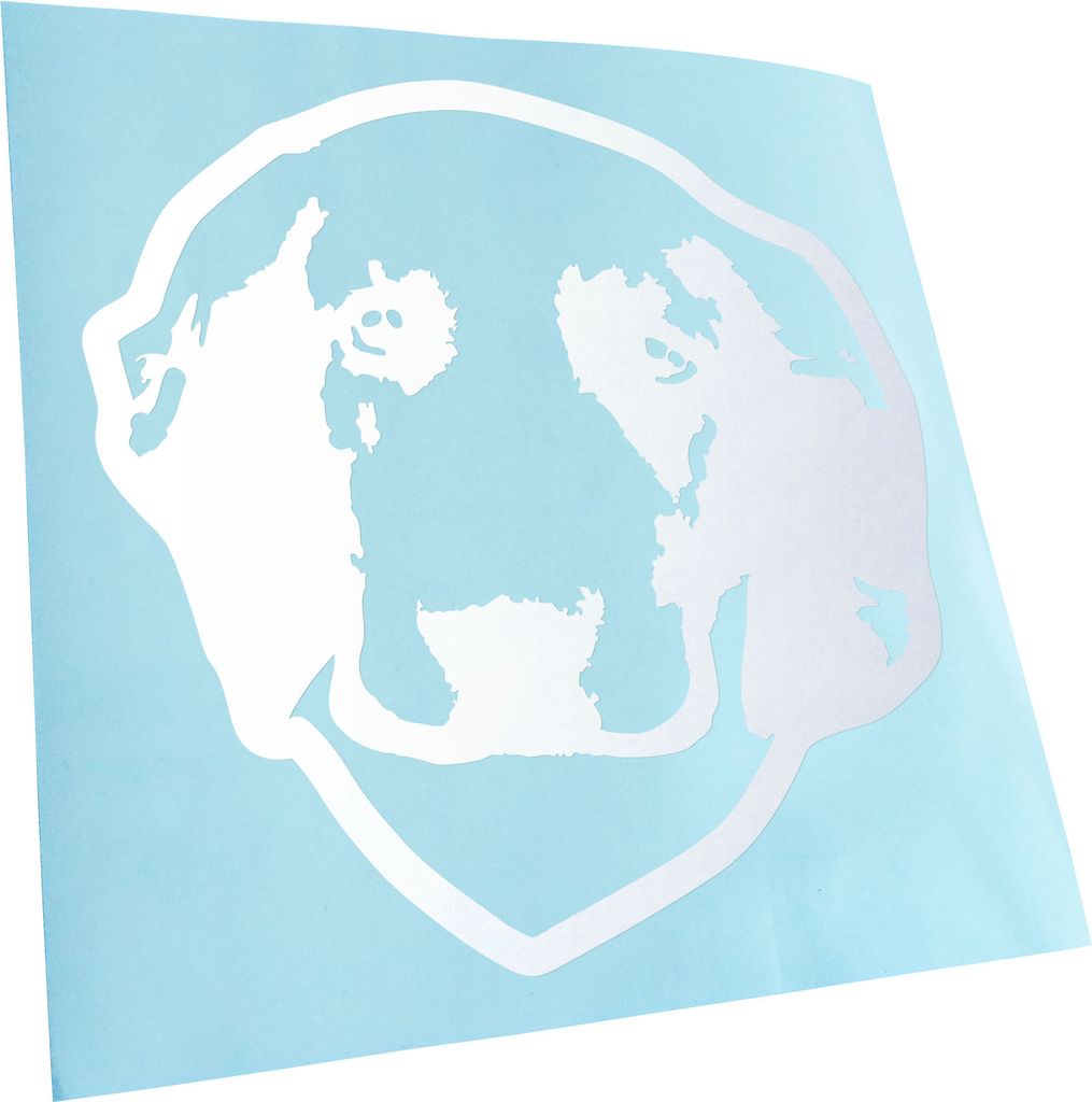 Kiwistar - Autoaufkleber - welsh springer Hund - Mattweiss - 60x60cm - Aufkleber für Auto, Laptop, Fahrrad, LKW, Motorrad mehrfarbig JDM Decal Racing