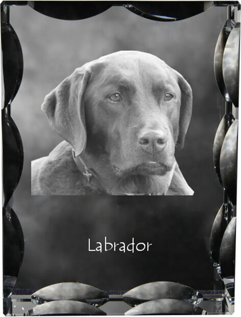 Cornice Cristallo Labrador Retriever - Statuetta Vetro Art-Dog Design
