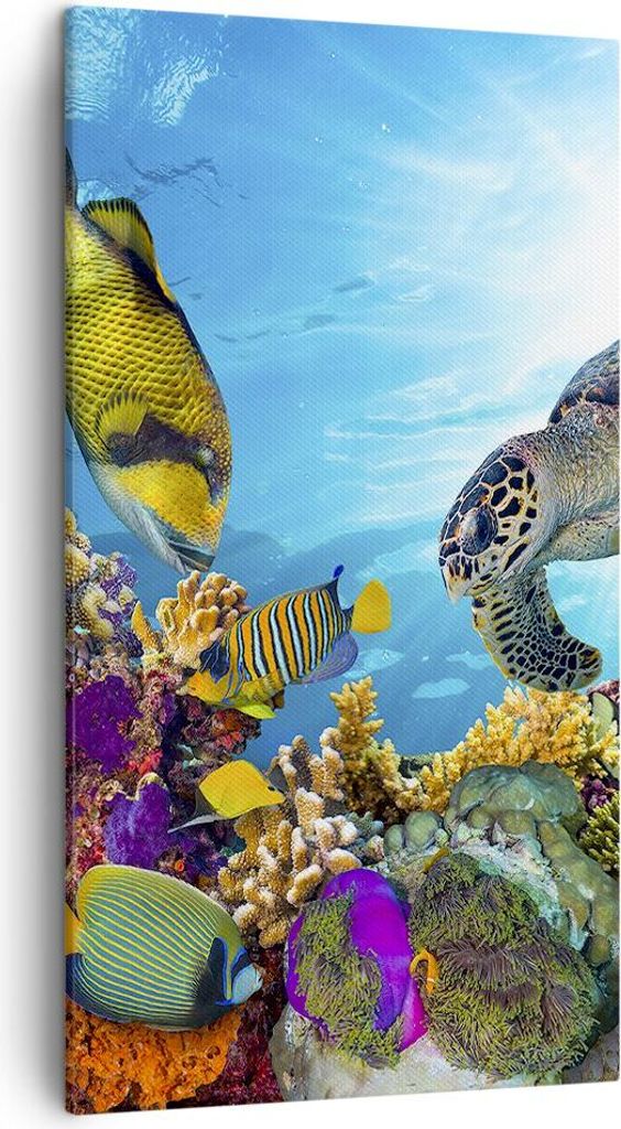 Bild auf Leinwand - Leinwandbild - Riff Koralle Fisch - 45x80cm - Wand Bild - Wanddeko - Wandbilder - Leinwanddruck - Bilder - Kunstdruck - Wanddek...