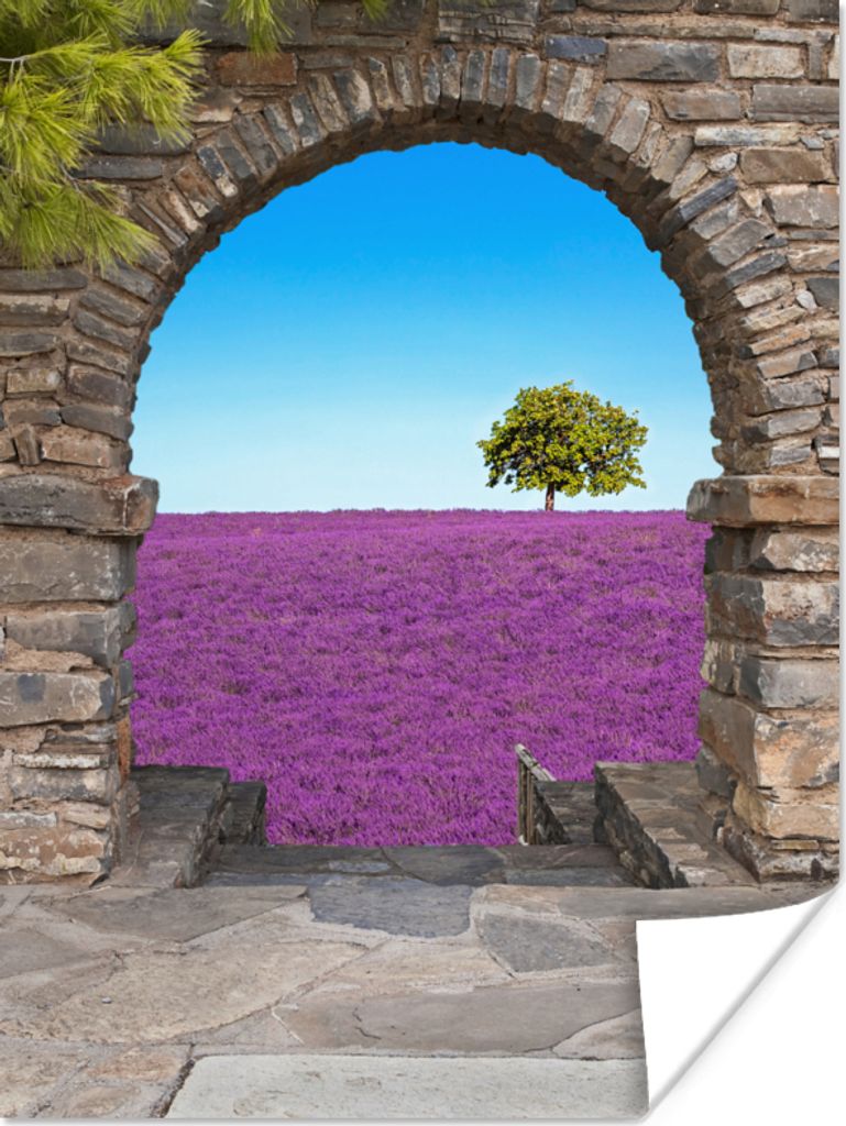 MuchoWow Poster Blumen - Lavendel - Baum - Ansicht 30x40 cm - Wandplakat - Poster Kinderzimmer