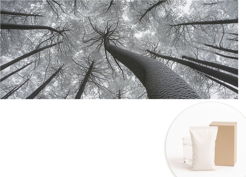 Fototapete - Wandbilder für Wohnzimmer - 208x146 cm - Dekorative Wandfolie - Modernes Design für Wanddekoration - Tapeten für Innenräume - Wint...