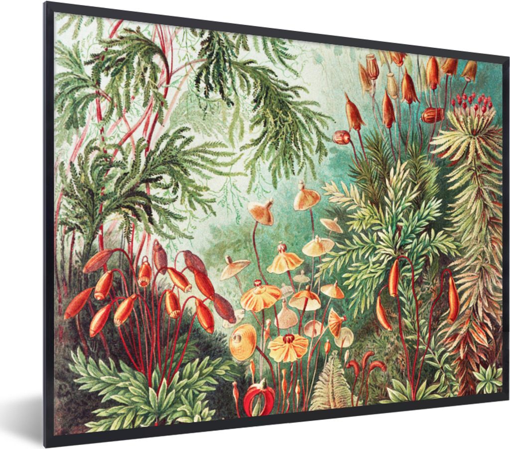 MuchoWow Gerahmtes Poster Blumen - Kunst - Vintage - Natur - Botanisch 80x60 cm - Poster mit Schwarzem Bilderrahmen Wandposter Rahmen Foto Bilder...