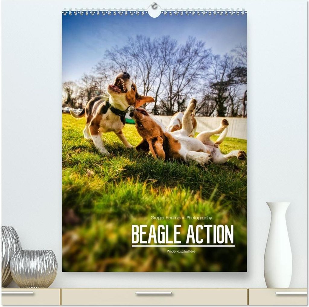 Beagle Action - Wilde Kuscheltiere (hochwertiger Premium Wandkalender 2026 DIN A2 hoch), Kunstdruck in Hochglanz