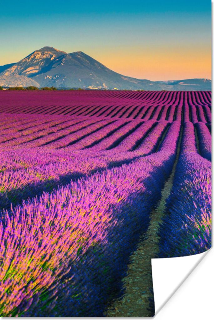 MuchoWow Poster Lavendel - Berg - Blumen 20x30 cm - Papierdruck