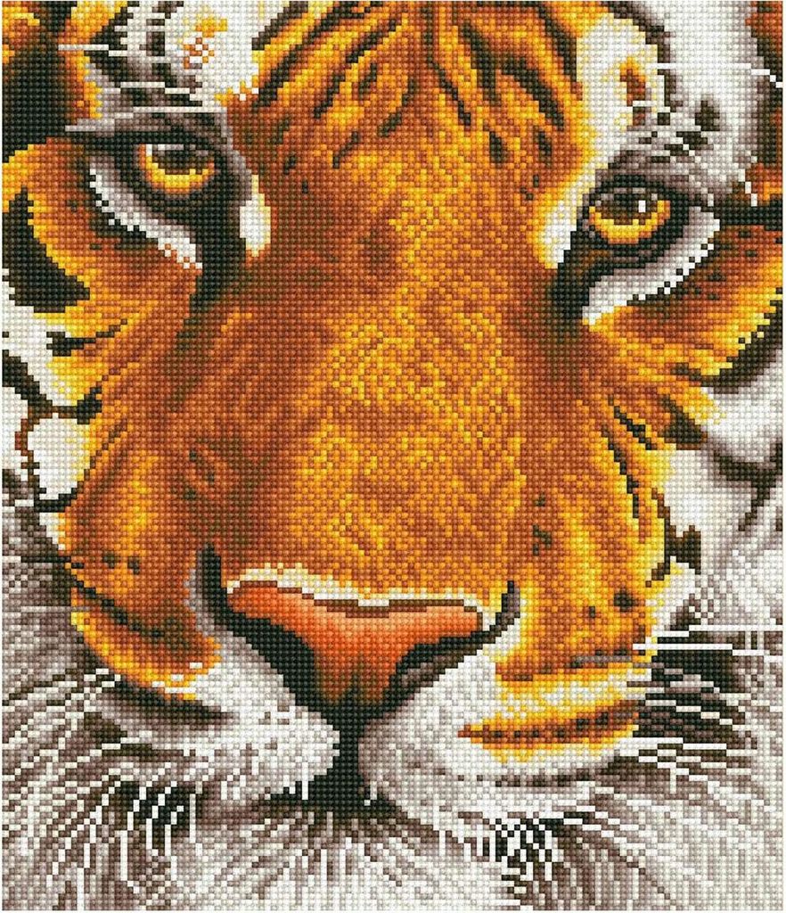 Bengal Magic Diamond Dotz: 42x36 cm