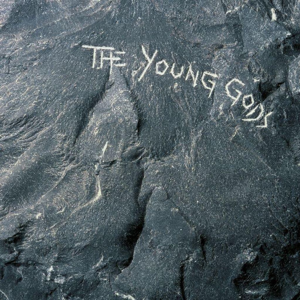 THE YOUNG GODS - The Young Gods Vinyl