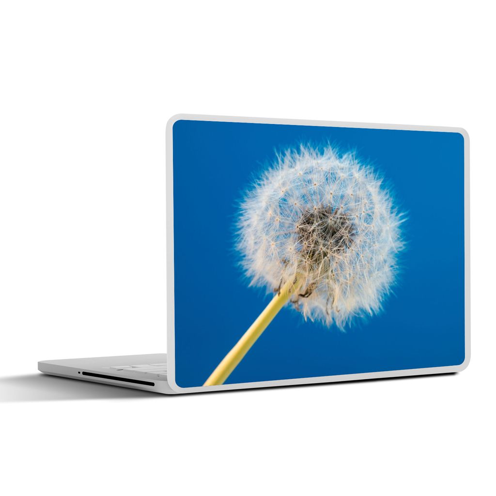 MuchoWow Laptop Aufkleber Sticker Cover Löwenzahn - Blume - Terrasse 25x18 cm - Laptop-Deko